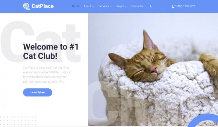 猫,宠物,宠物猫俱乐部专属网站模板,网站模板免费下载,
