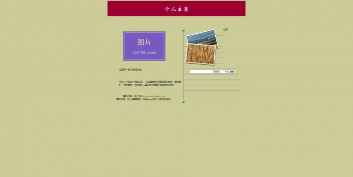 个人主页,中文个人网站模板,网站模板免费下载,