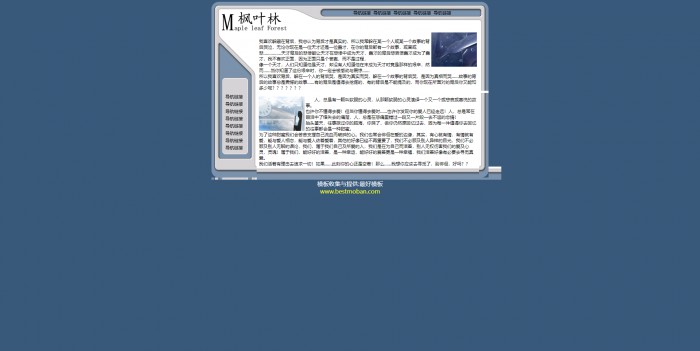 个人主页,枫树林_中文模板,网站模板免费下载,
