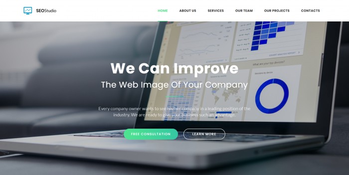 SEO,营销,SEO精英营销服务推广模板,网站模板免费下载,