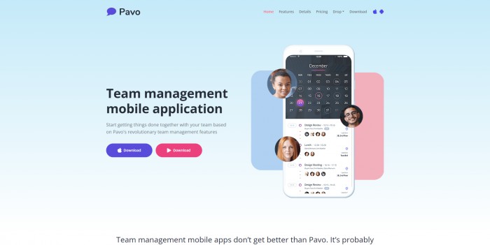 APP,团队,管理,团队管理APP商务网页模板,网站模板免费下载,