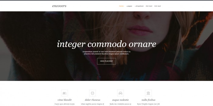 创意,产品,创意产品信息服务网页模板,网站模板免费下载,