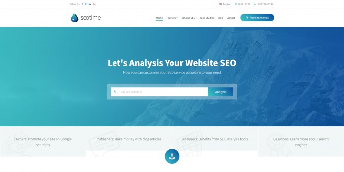 SEO,SEO分析工具网页模板,网站模板免费下载,