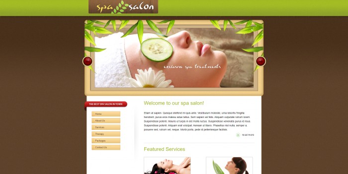 SPA,沙龙,SPA沙龙网页模板,网站模板免费下载,