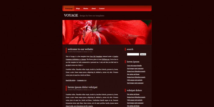暗红色,信息,BLOG,暗红色信息BLOG网页模板,网站模板免费下载,