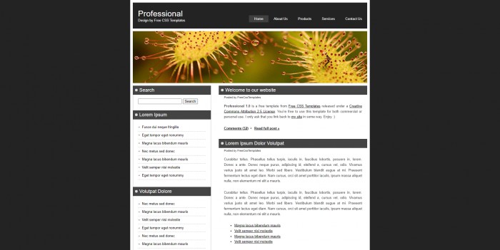 专业,研究,BLOG,专业研究BLOG网页模板,网站模板免费下载,