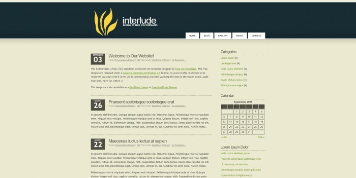 信息,技术,BLOG,信息技术BLOG网页模板,网站模板免费下载,