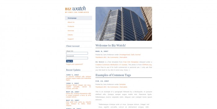 商业,视点,BLOG,商业视点BLOG网页模板,网站模板免费下载,