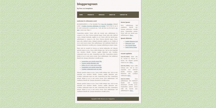 简洁,企业,BLOG,信息,简洁企业BLOG信息网页模板,网站模板免费下载,