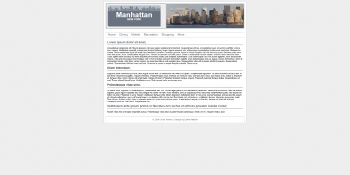 美国,曼哈顿,信息,美国曼哈顿信息网页模板,网站模板免费下载,