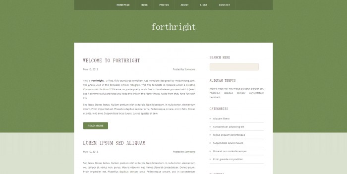 军绿色,直率,简洁,blog,军绿色直率简洁blog网页模板,网站模板免费下载,