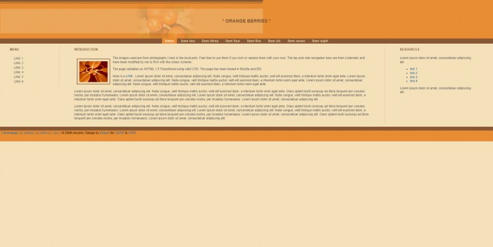 桔红色,糖果,桔红色糖果网页模板,网站模板免费下载,