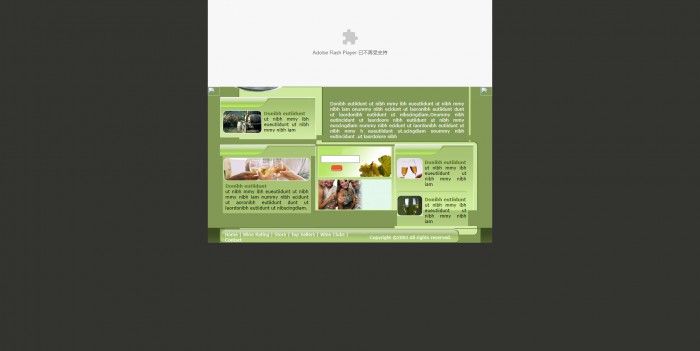 葡萄酒,公司,葡萄酒公司网页模板,网站模板免费下载,