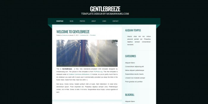 森绿,日志,信息,森绿日志信息网页模板,网站模板免费下载,
