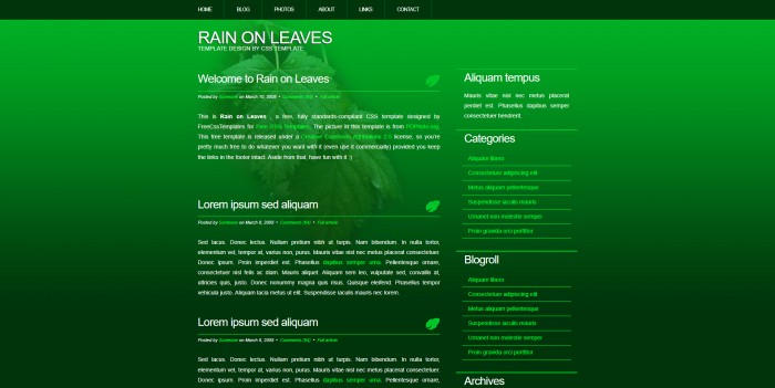 绿叶,雨滴,BLOG,绿叶雨滴BLOG网页模板,网站模板免费下载,