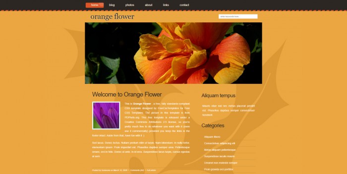 橘黄色,鲜花,BLOG,橘黄色鲜花BLOG网页模板,网站模板免费下载,