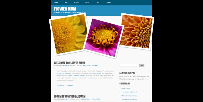 花蕊,主题,信息,BLOG,花蕊主题信息BLOG网页模板,网站模板免费下载,