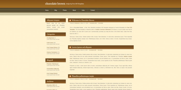 咖啡色,简单,BLOG,咖啡色简单BLOG网页模板,网站模板免费下载,