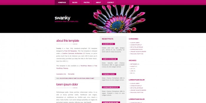 紫红,华丽,BLOG,紫红华丽BLOG网页模板,网站模板免费下载,