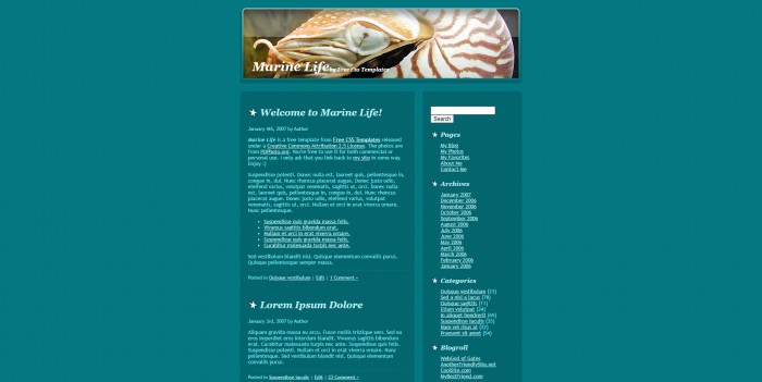 海洋,生物,主题,BLOG,海洋生物主题BLOG网页模板,网站模板免费下载,