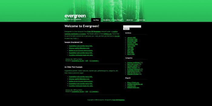 常绿,森林,BLOG,常绿森林BLOG网页模板,网站模板免费下载,